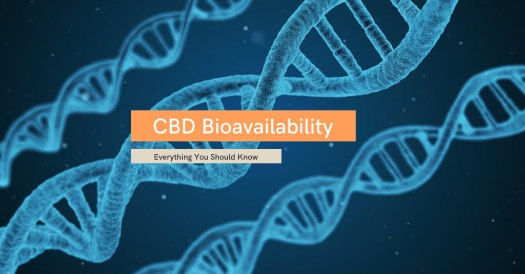 CBD Bioavailabbility
