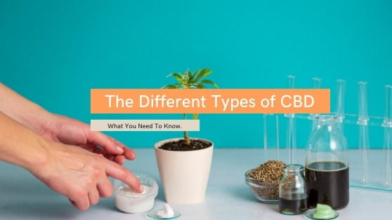 Different types of CBD Products