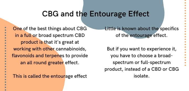 CBG and the entourage effect