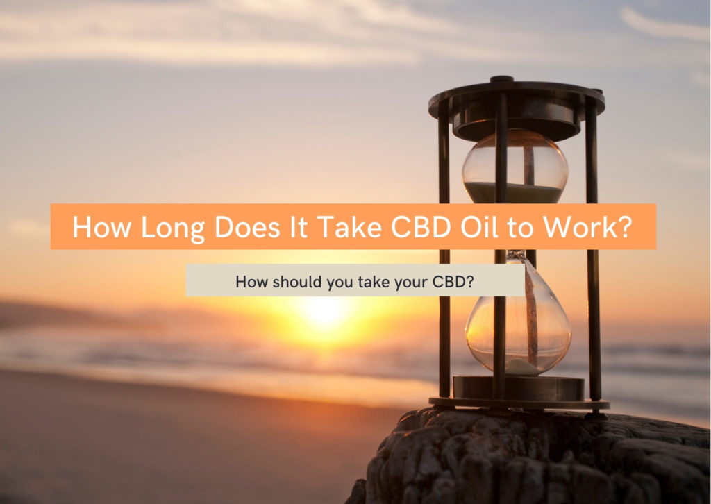 How long does it take CBD oil to work