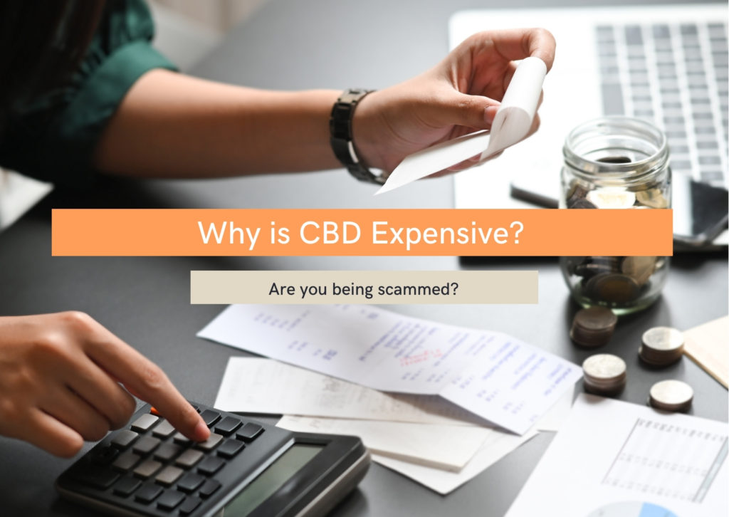 Why is CBD Oil so Expensive