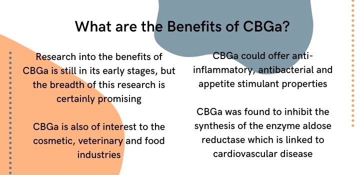 What are the benefits of CBGA