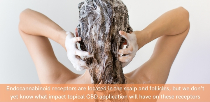 how does cbd shampoo work