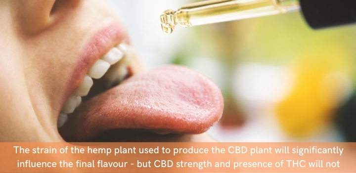 What impacts the taste of CBD oil