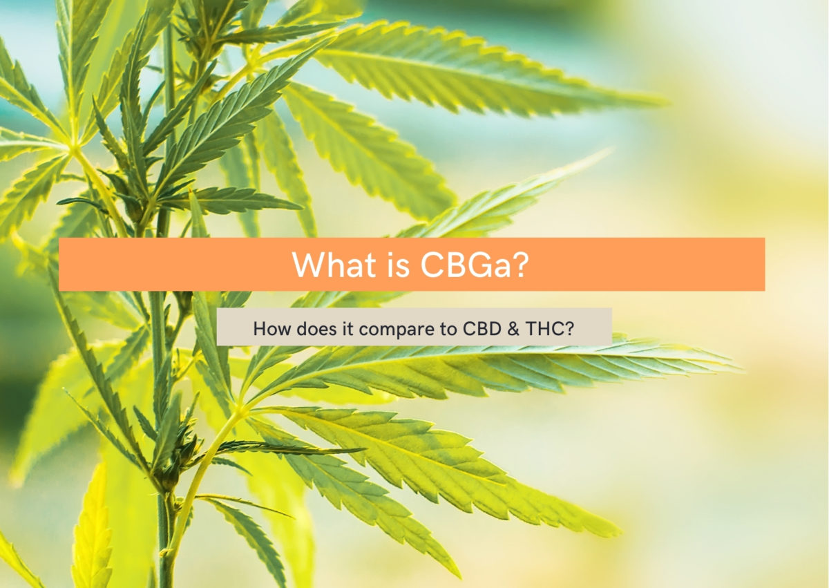 What is CBGa