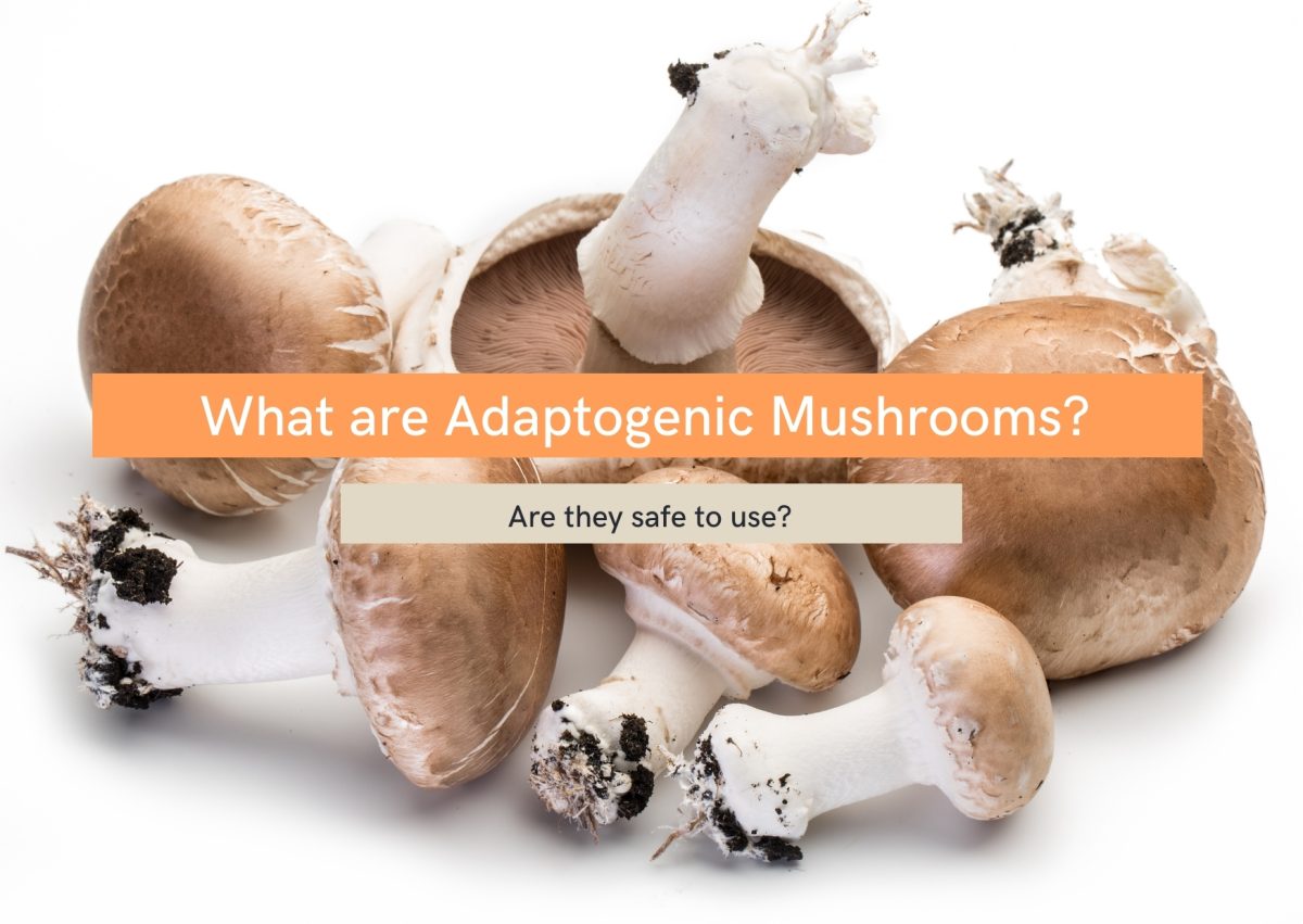 what are adaptogenic mushrooms