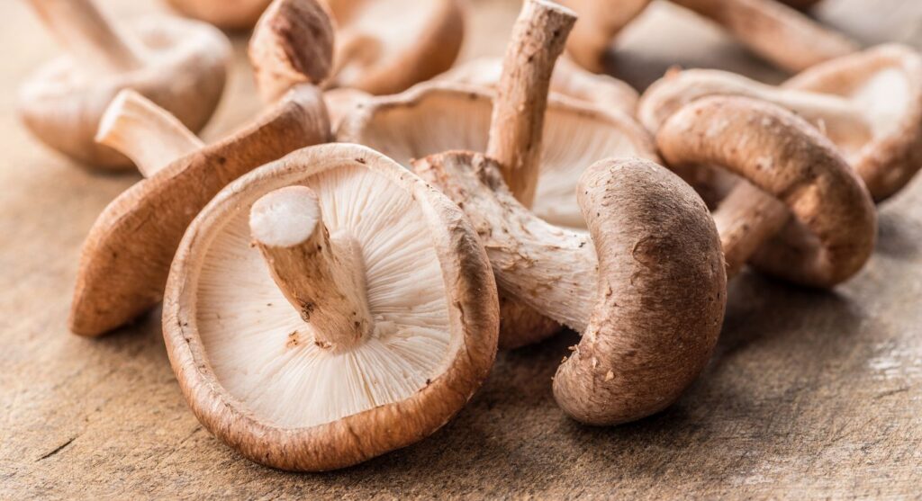 Adaptogenic mushrooms: Shiitake