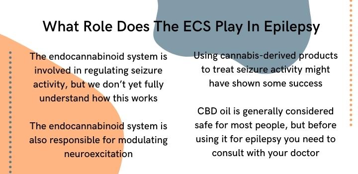 What is the endocannabinoid system