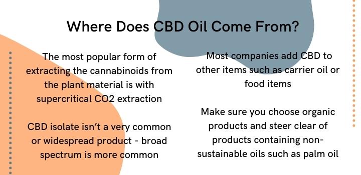 Where does CBD oil come from
