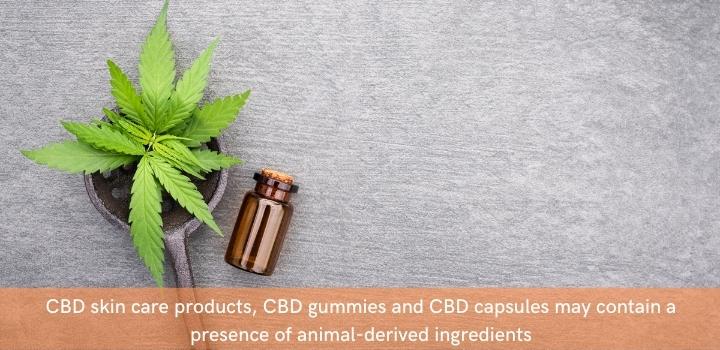 Which CBD products are not vegan