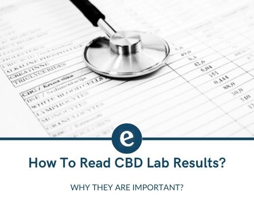 How To Read CBD Lab Results and Understand Them