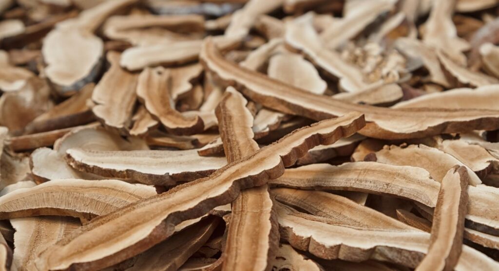 Dried reishi mushrooms that will be turned into reishi mushroom powder