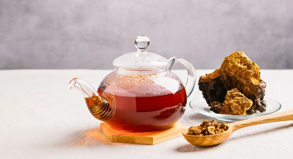 mushroom tea recipe