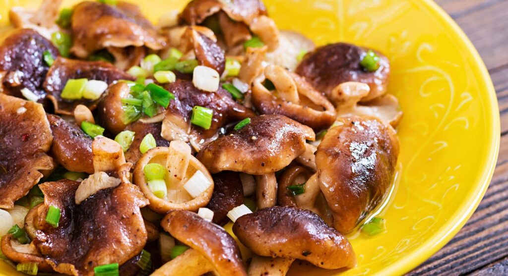 What are shiitake mushrooms